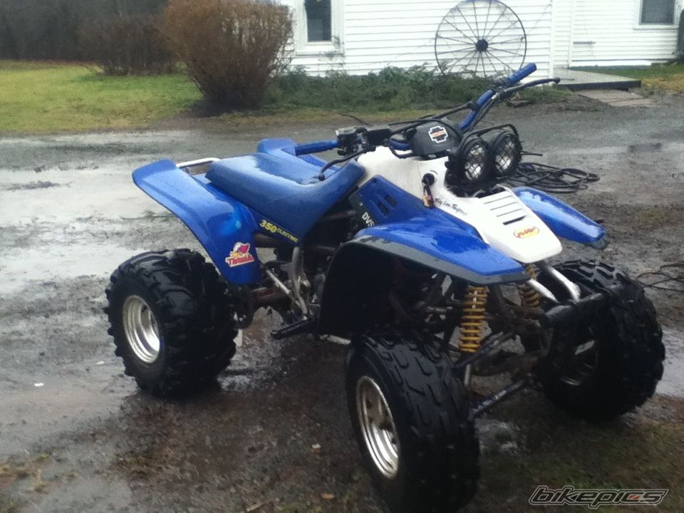 Photo 2505552