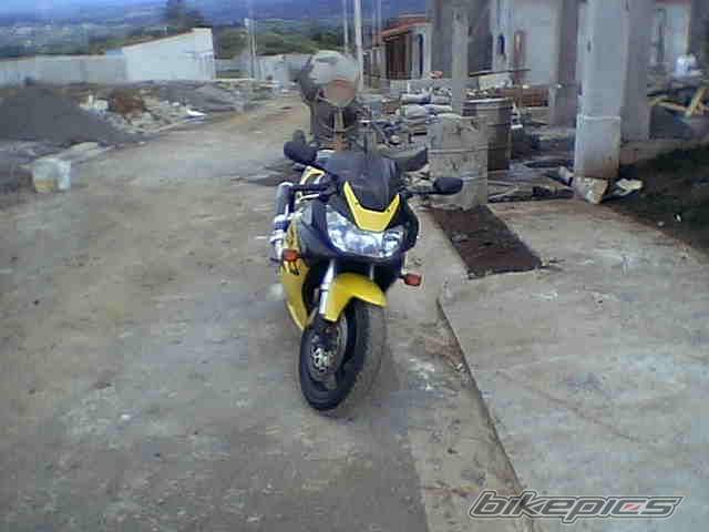 Photo 250566