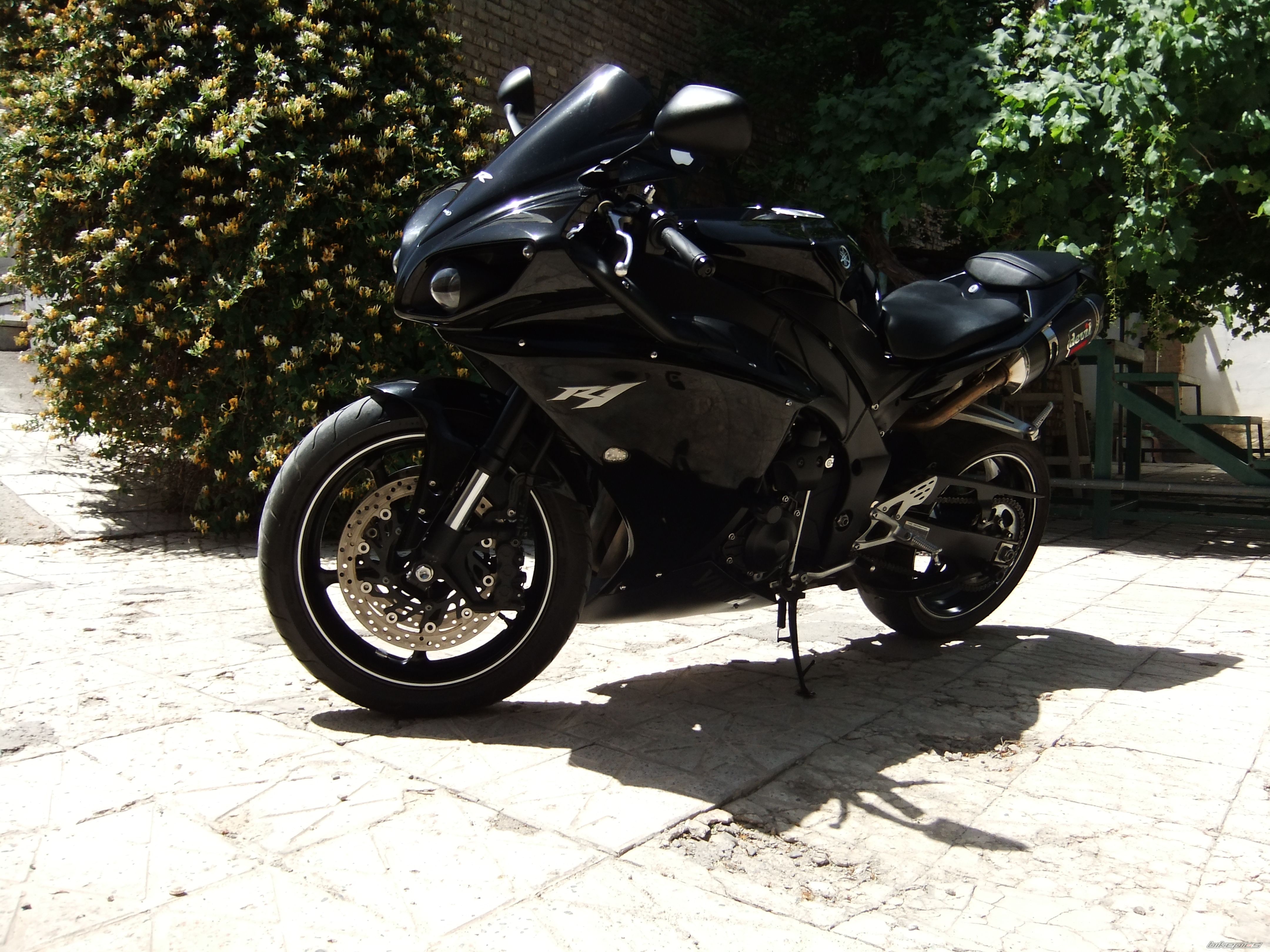 Photo 2505684