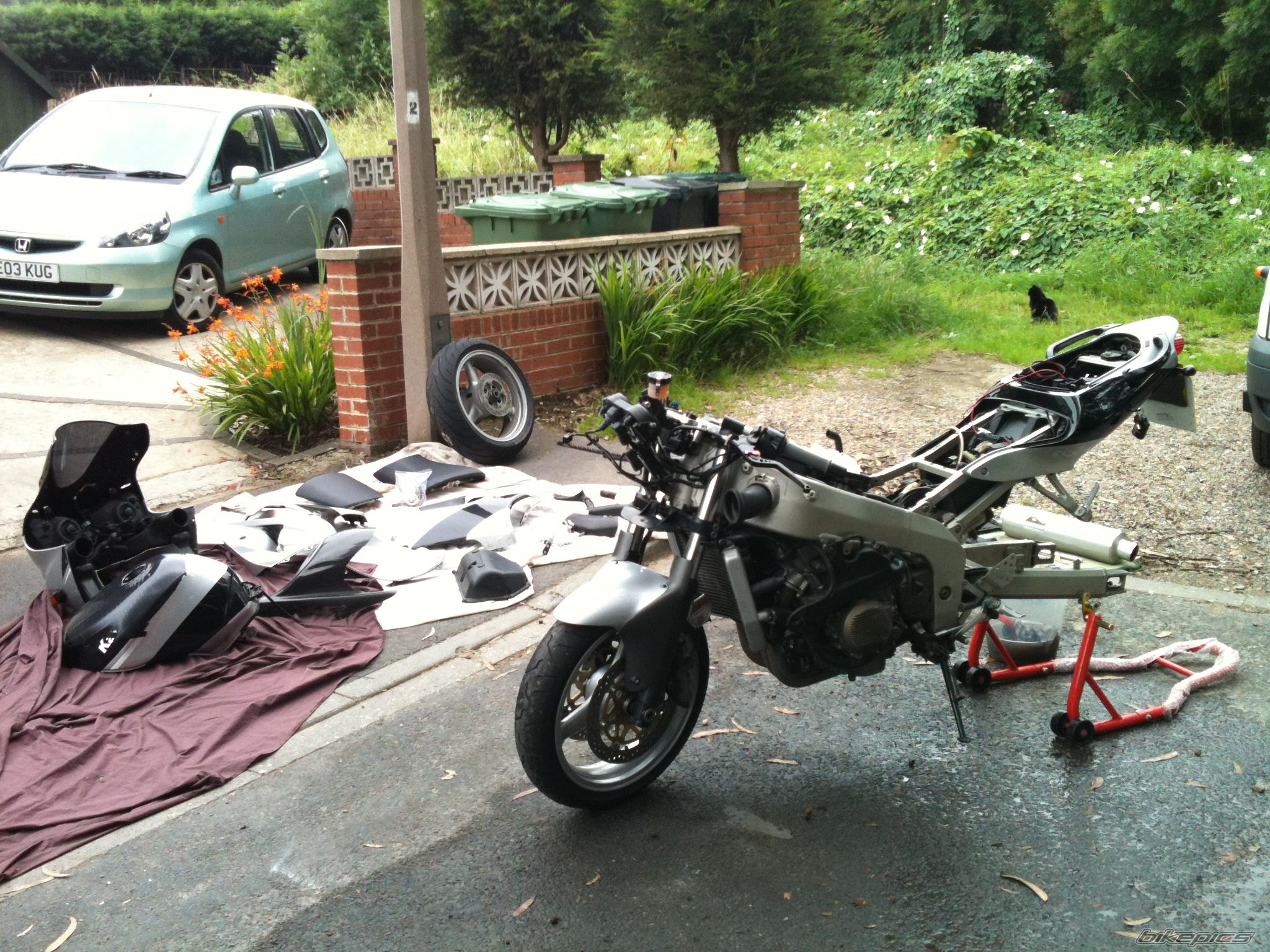 Photo 2505768