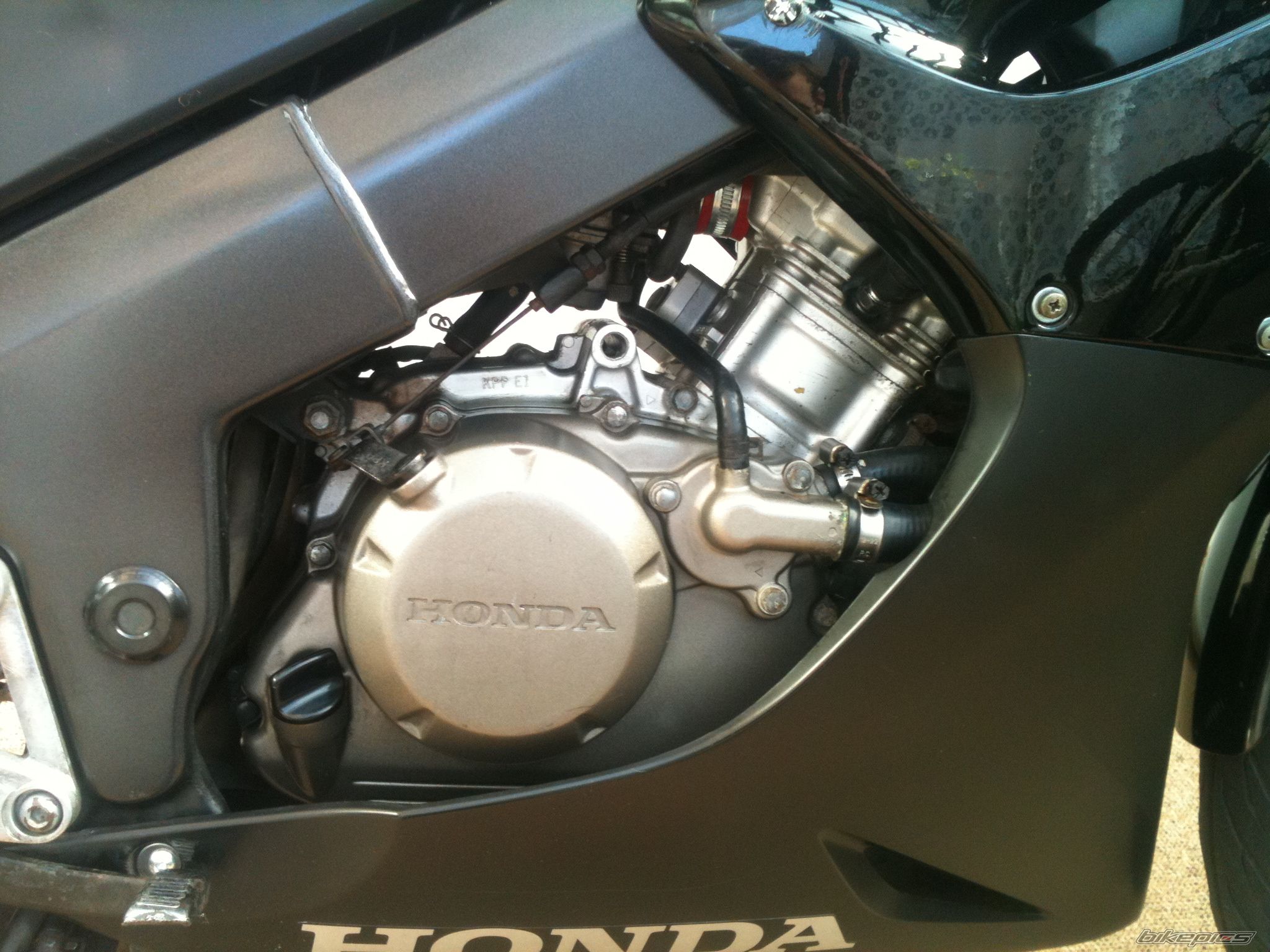 Photo 2505775