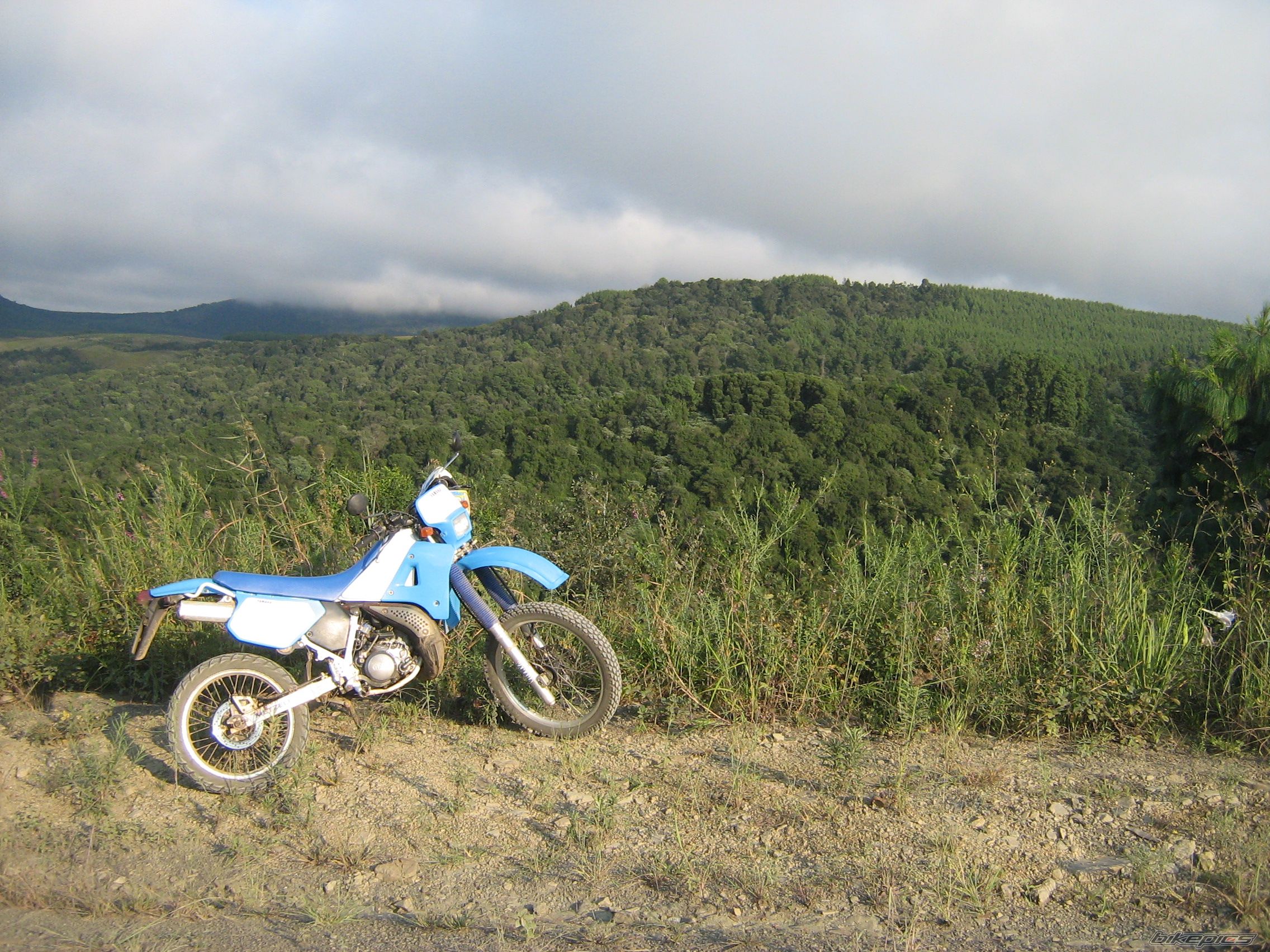 Photo 2505843