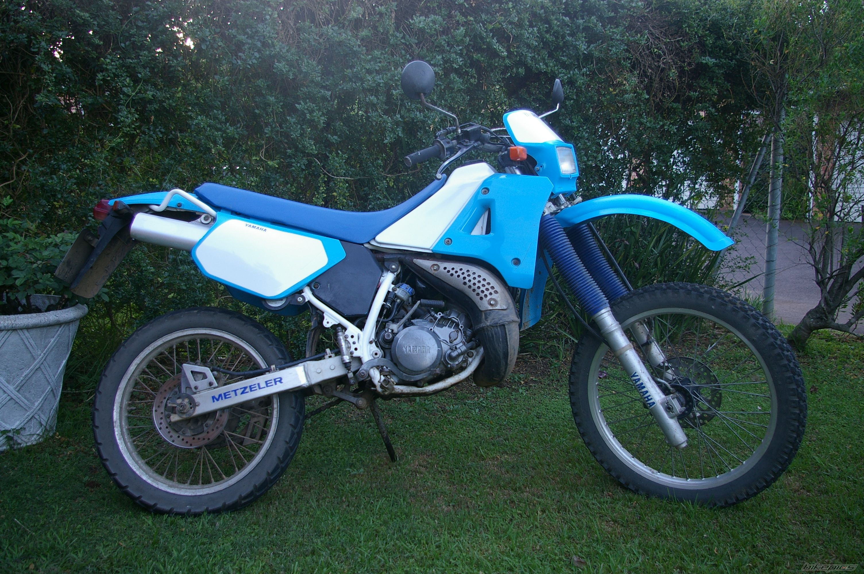Photo 2505851