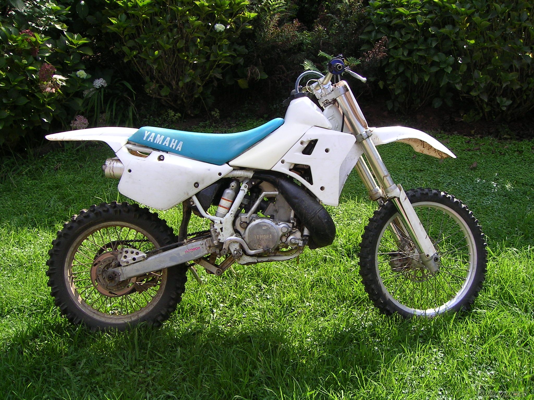 Photo 2505865