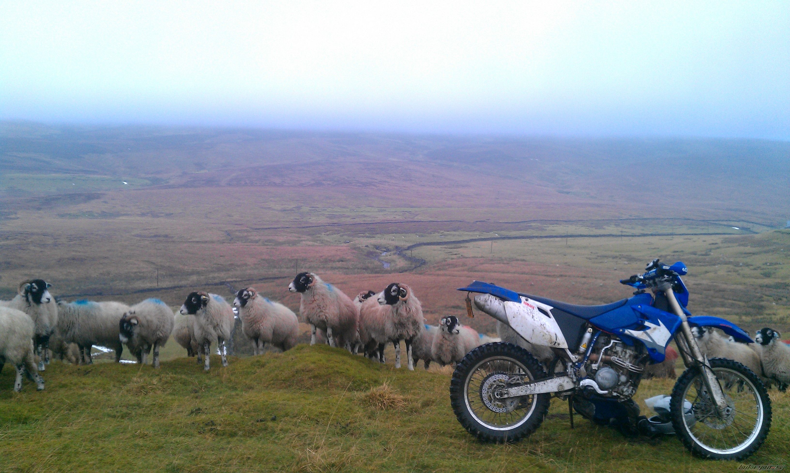 Bike Photo 2505905