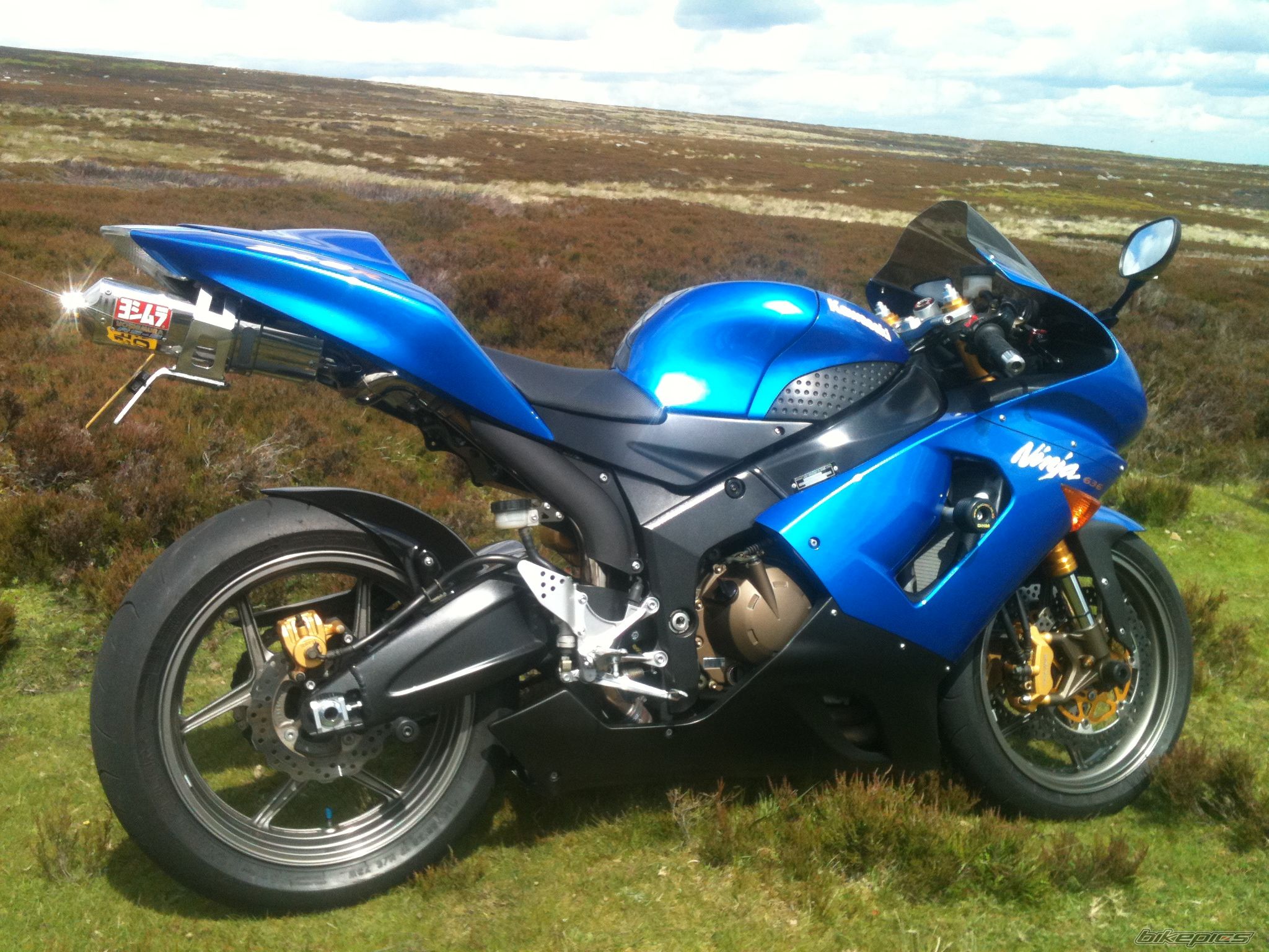 Photo 2505947
