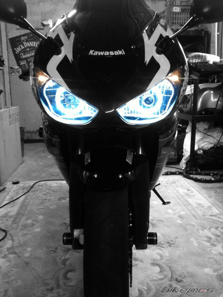 Photo 2505955