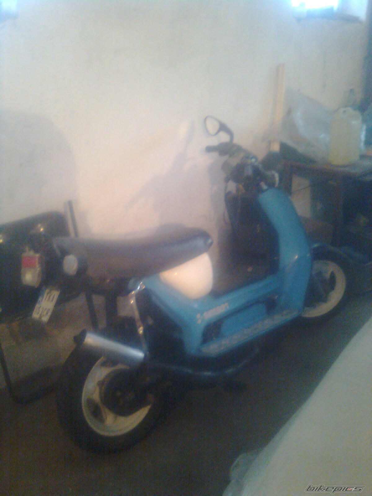 Photo 2506166