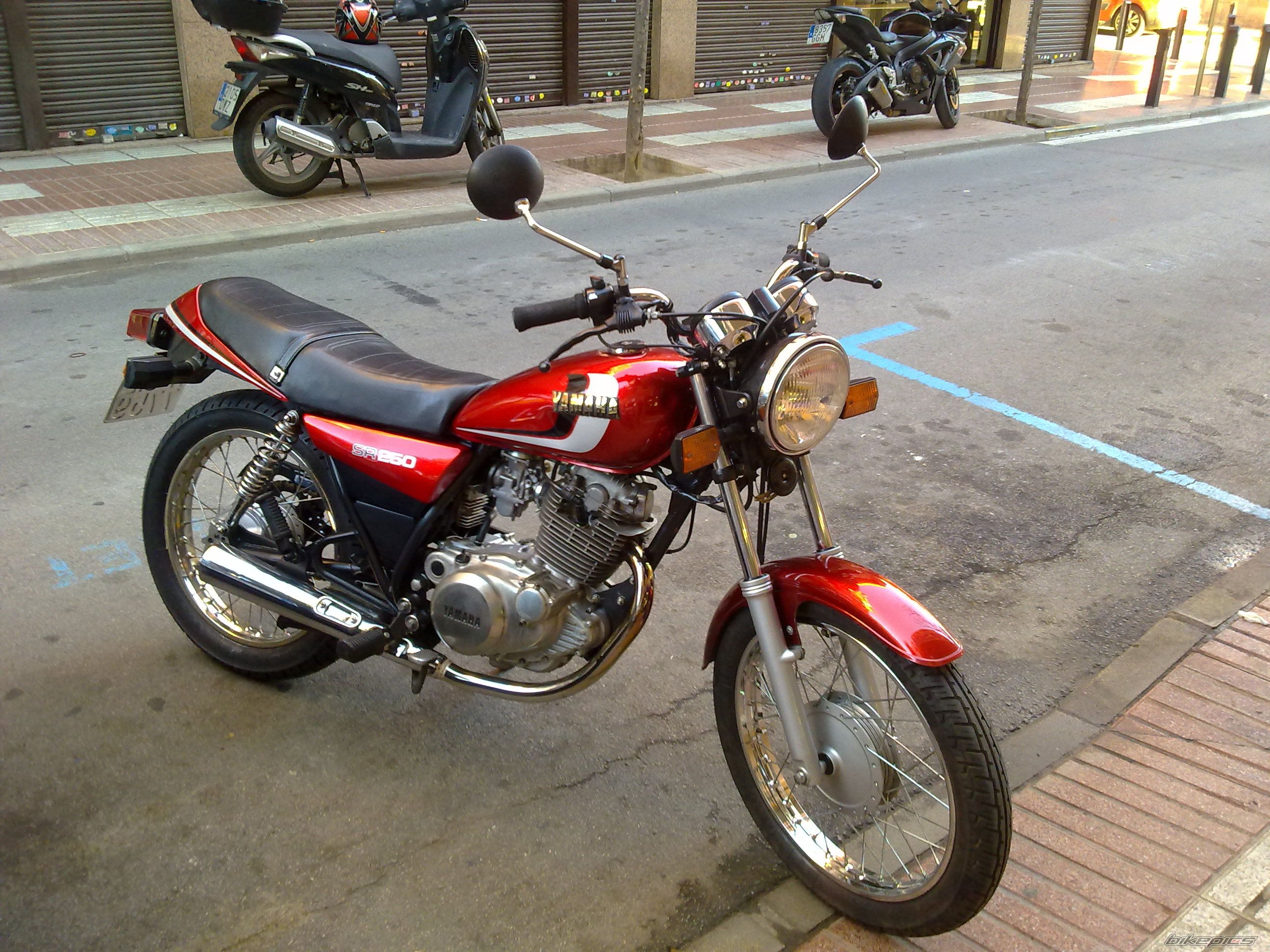 Photo 2506211