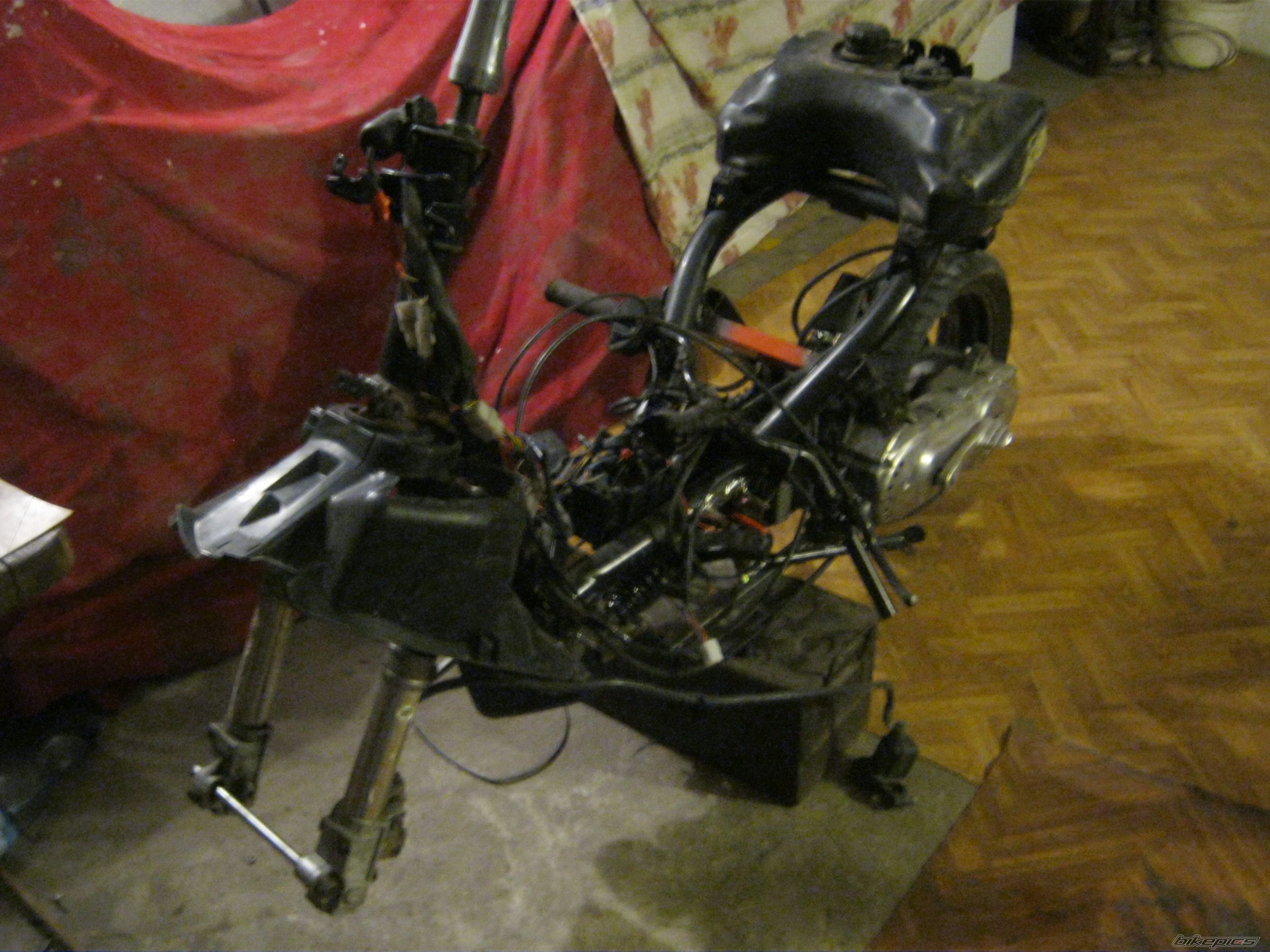 Photo 2506295