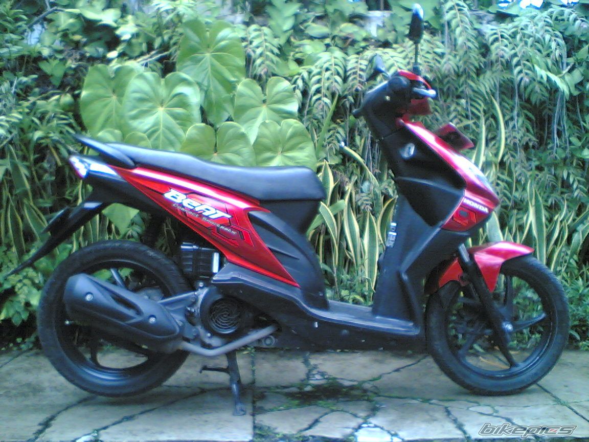 Photo 2506396