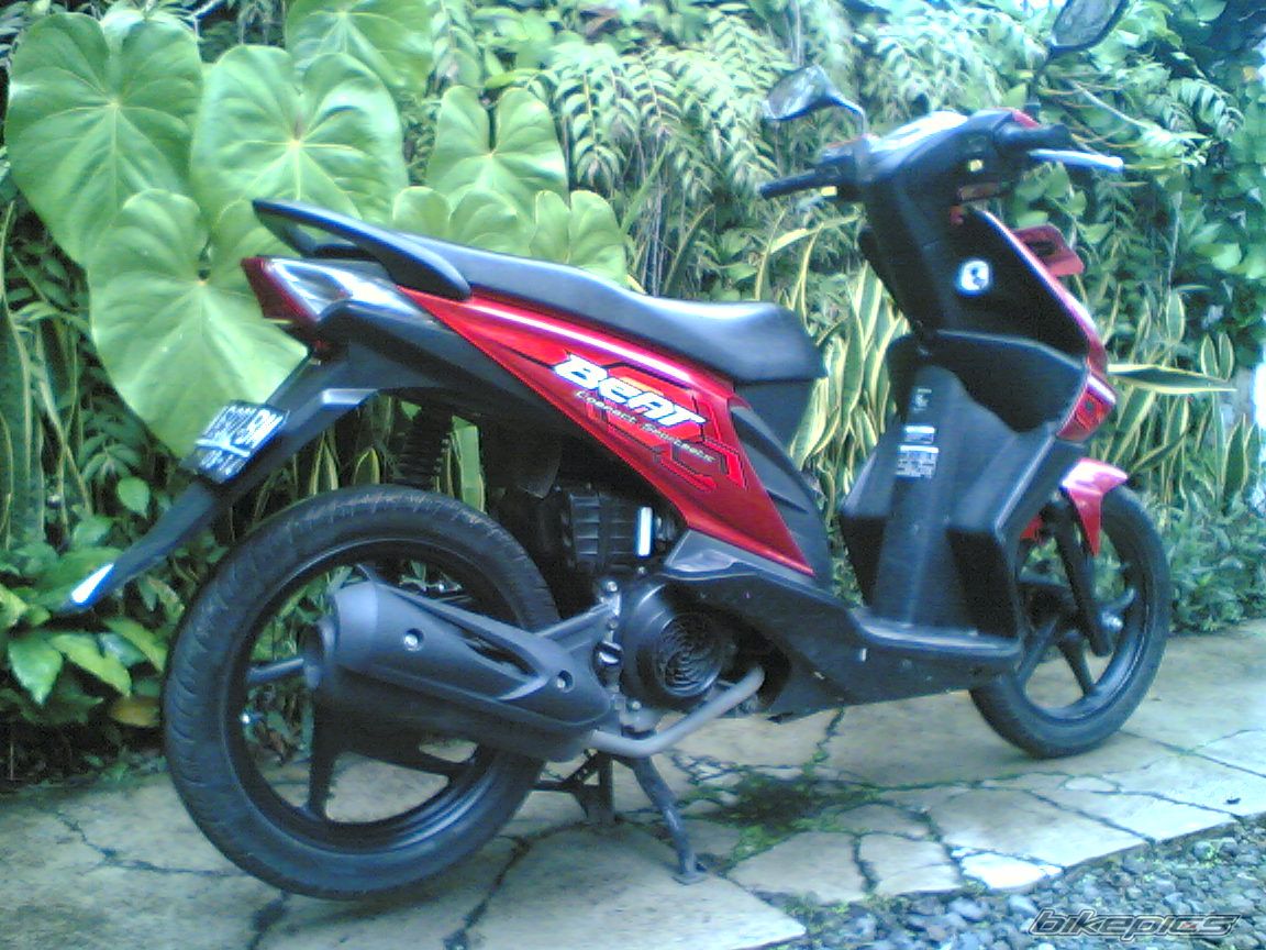 Photo 2506398