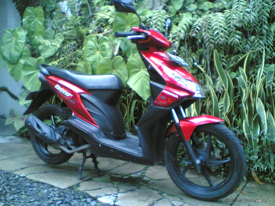 Photo 2506399