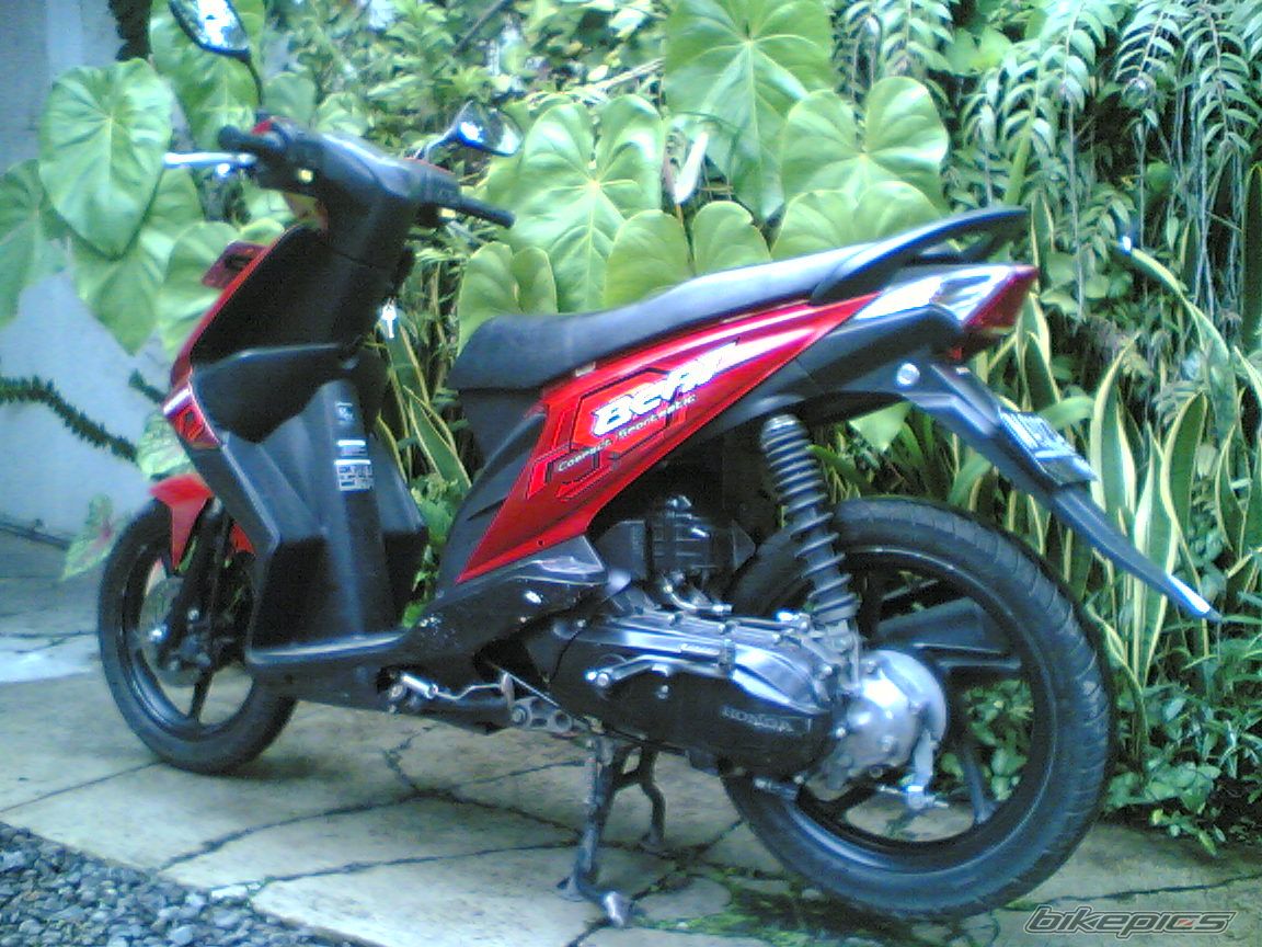 Photo 2506405