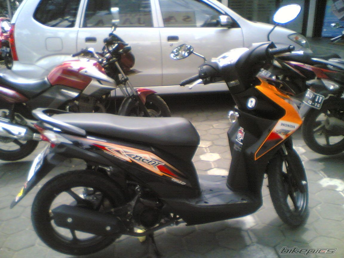Photo 2506435