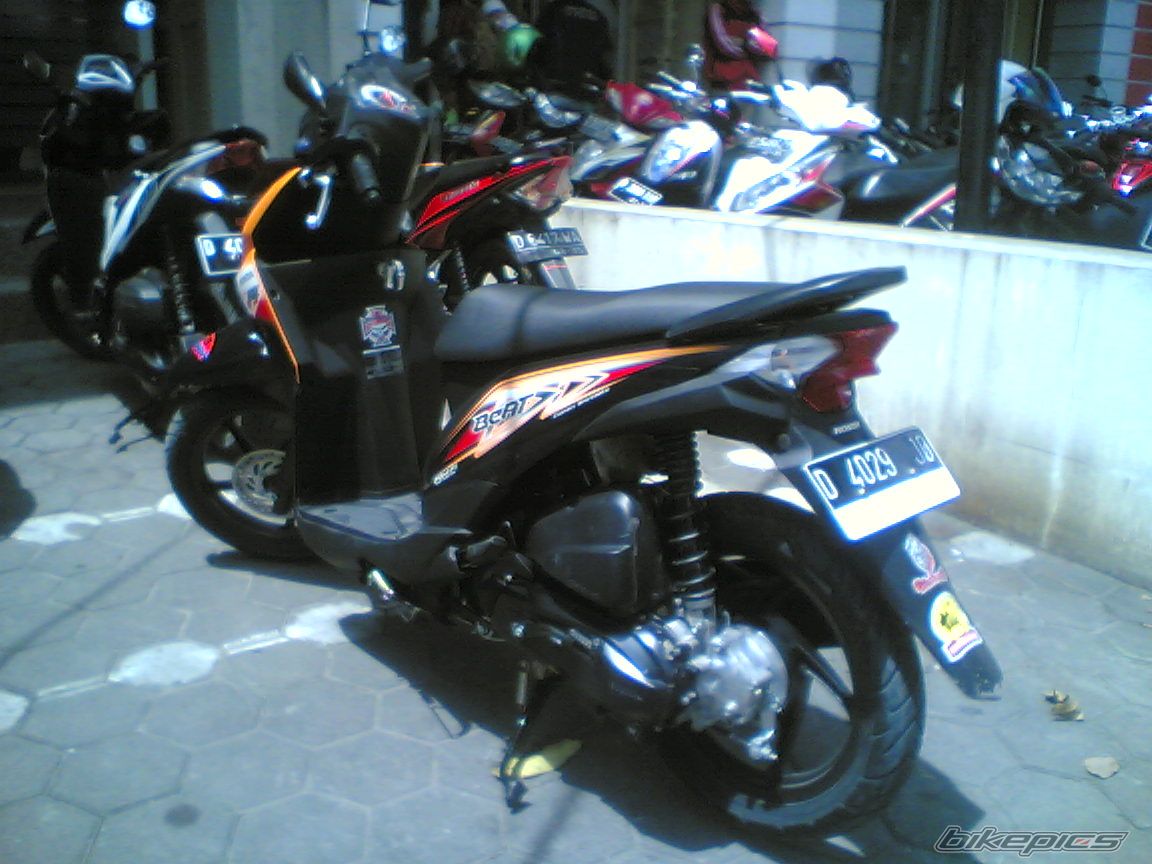 Photo 2506438