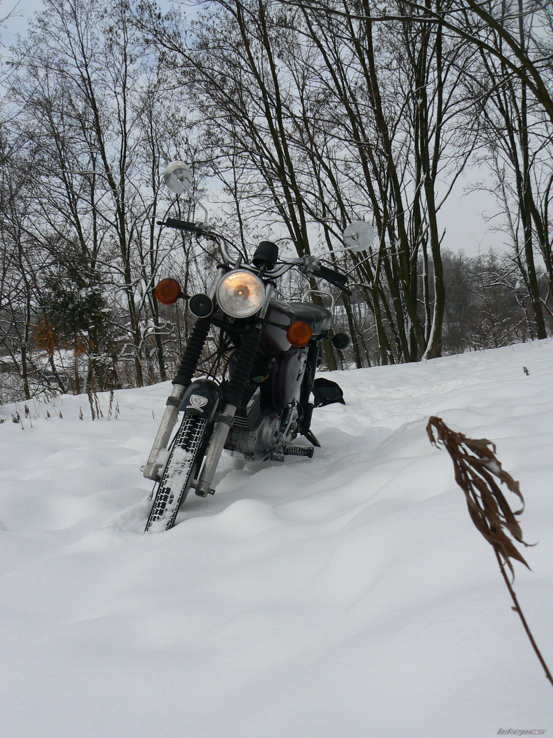 Photo 2506490