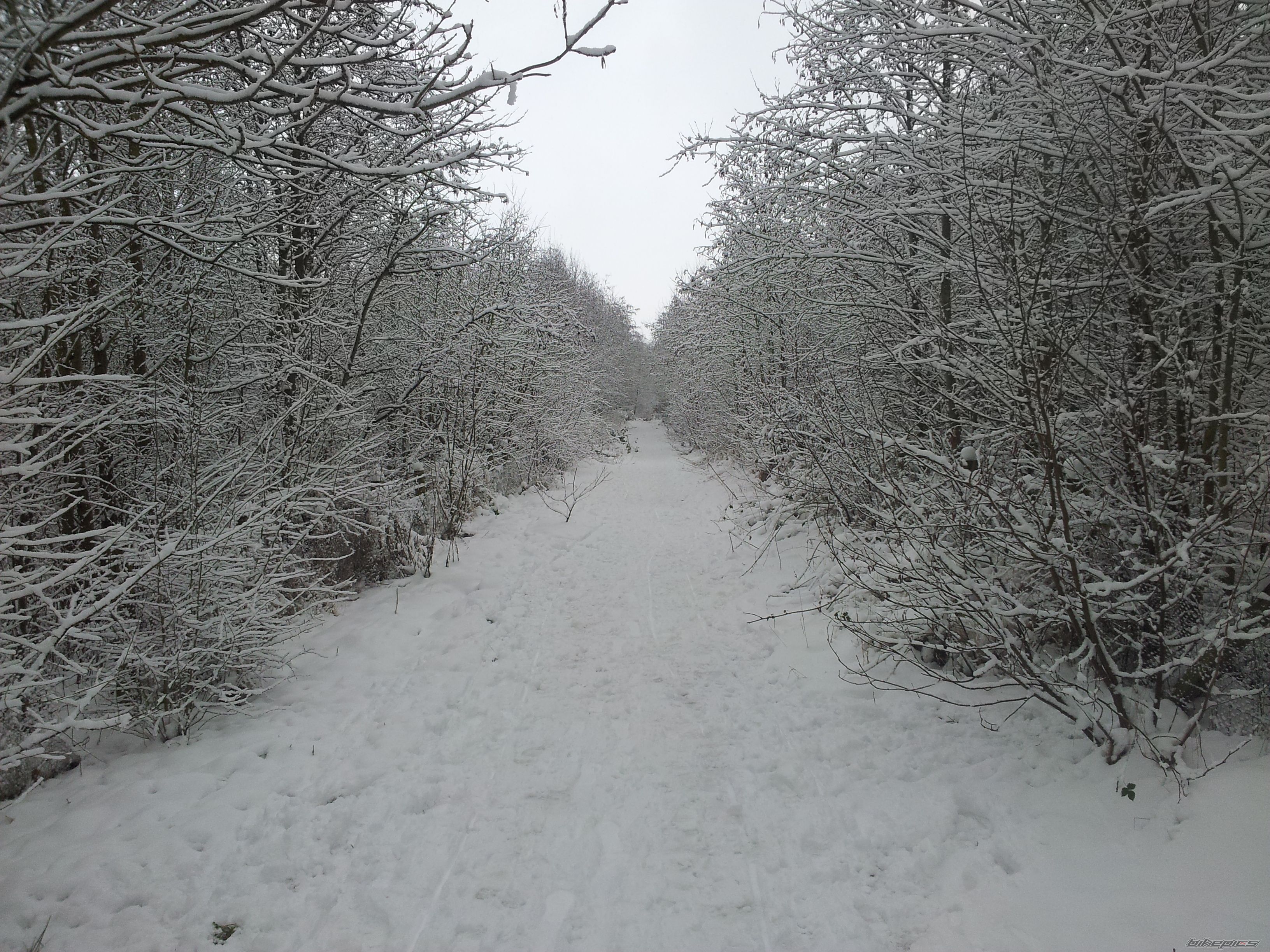 Photo 2506514