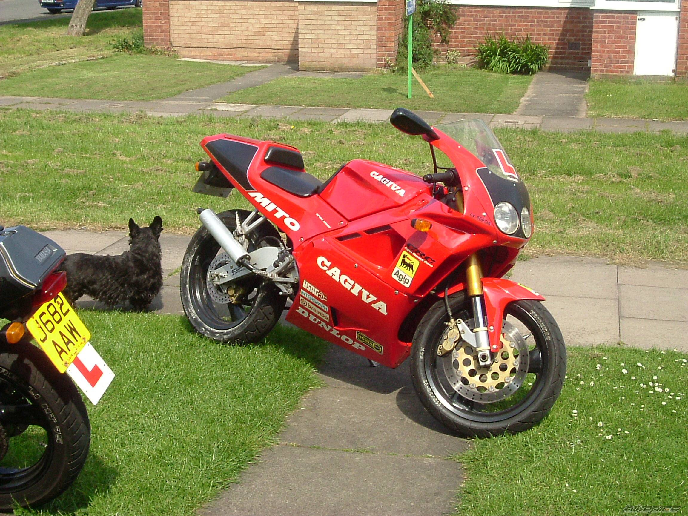 Bike Photo 250654
