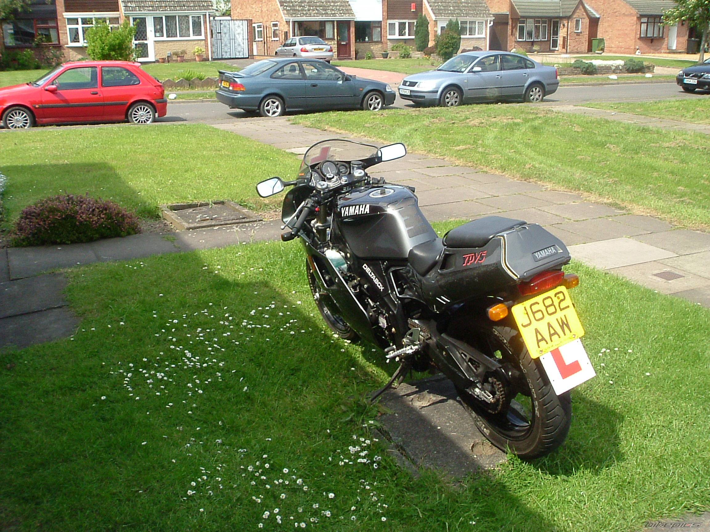 Photo 250657