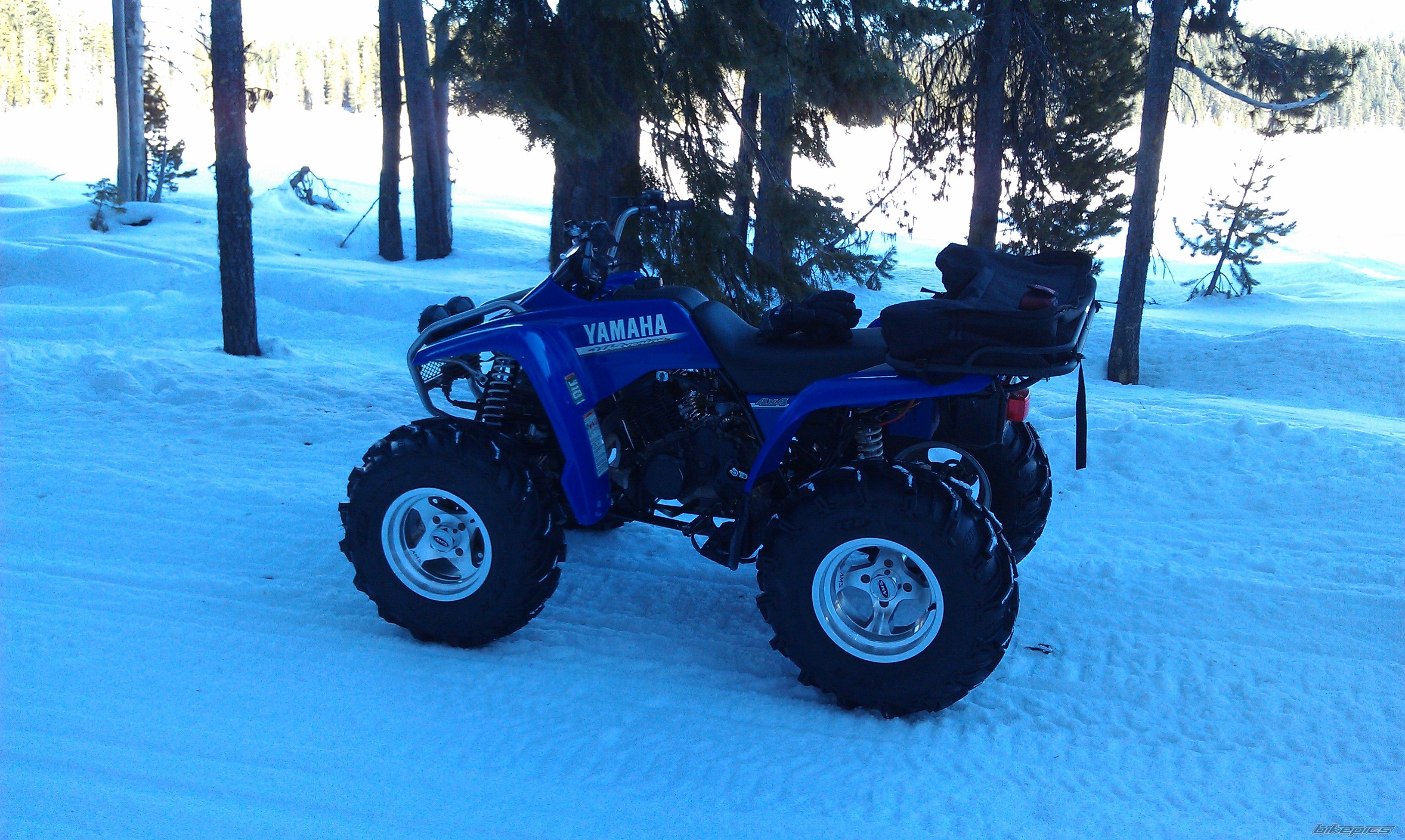 Photo 2506585