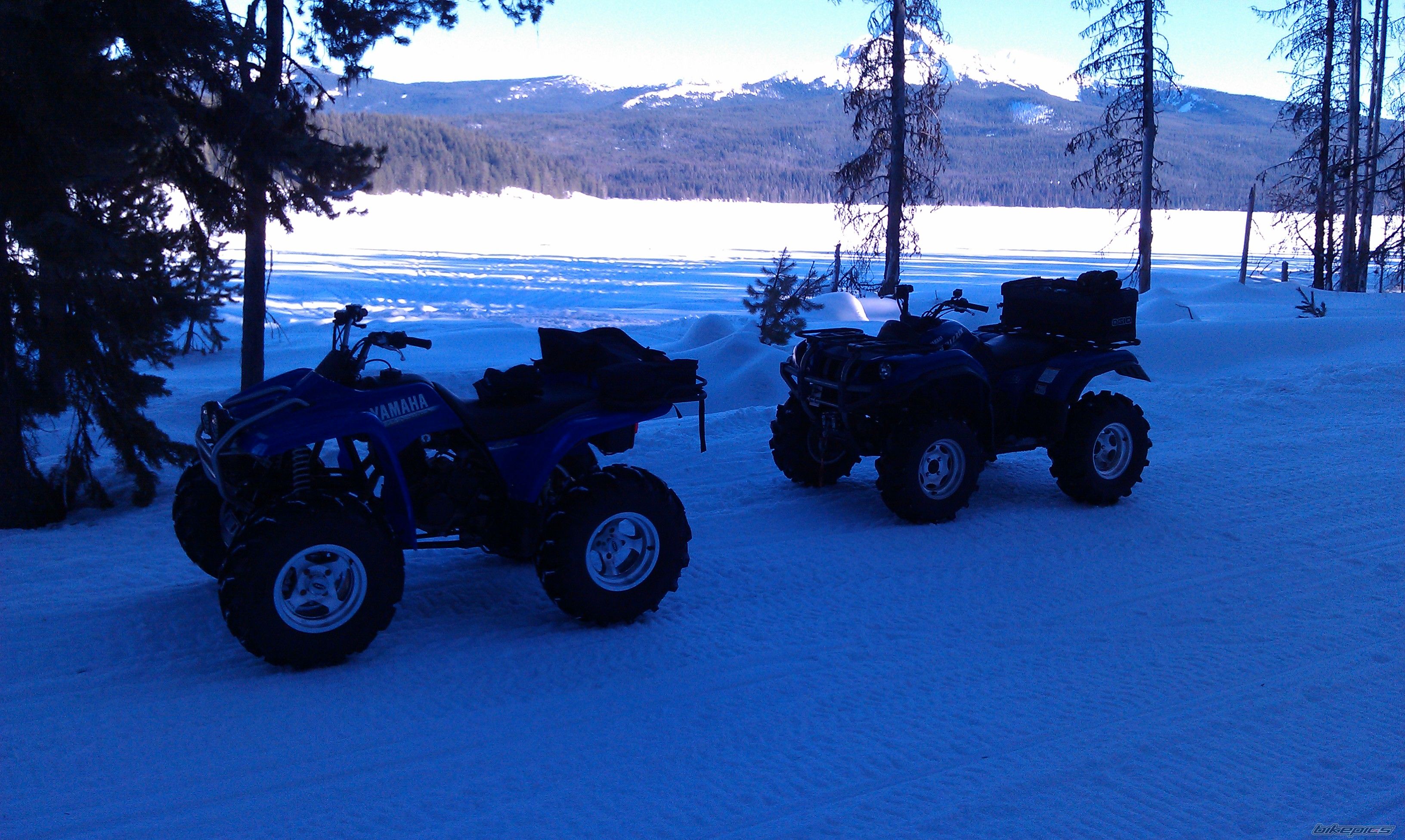 Photo 2506587