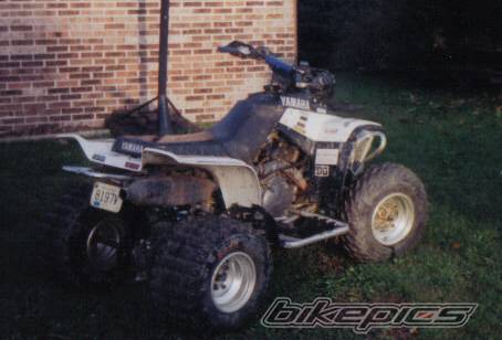 Photo 250671