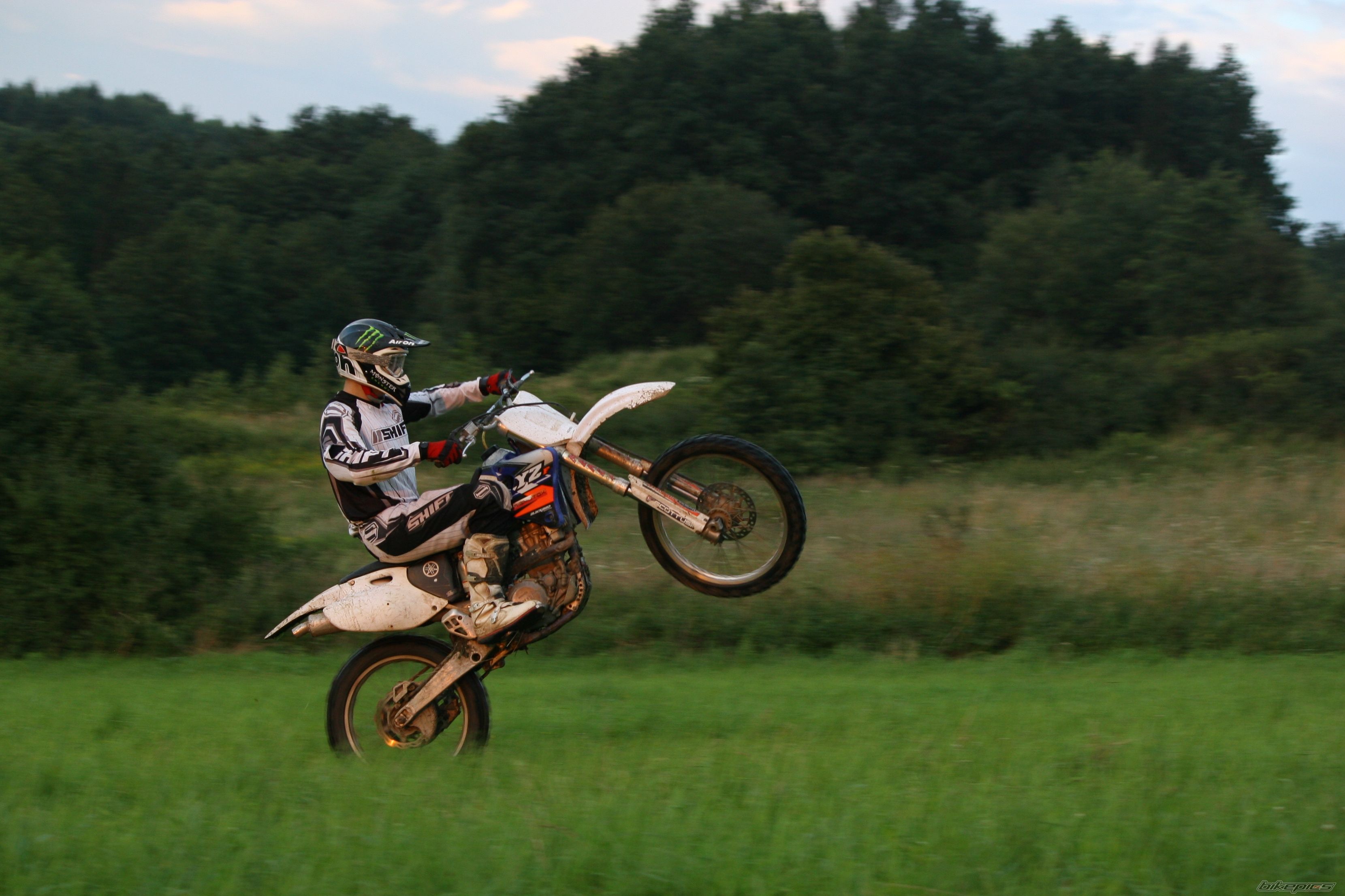 Photo 2506762