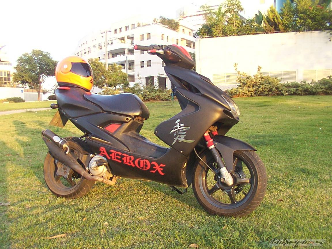 Photo 250679