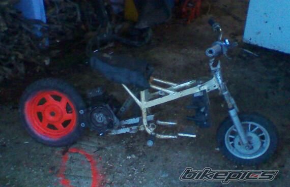 Photo 2506833