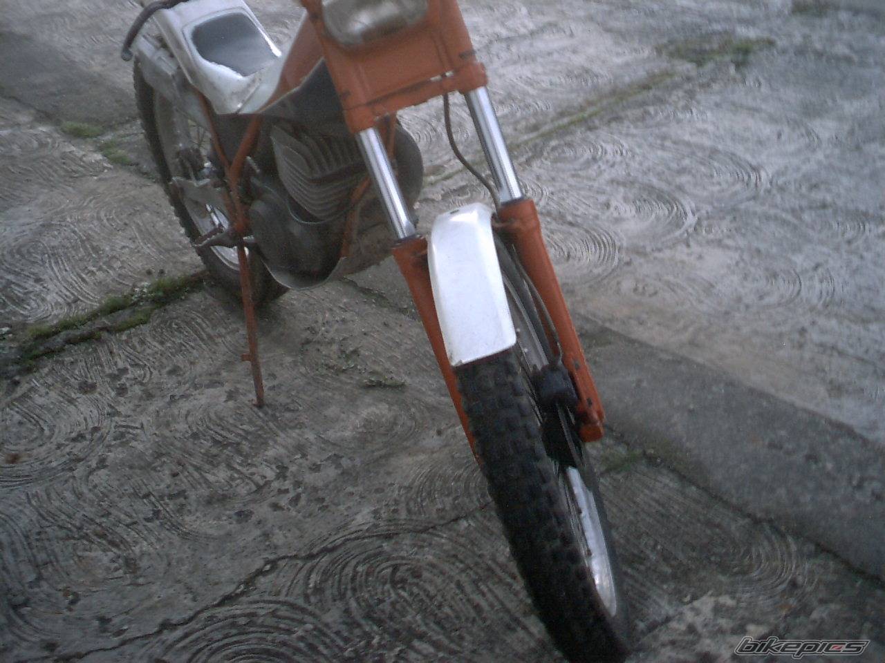 Photo 250688