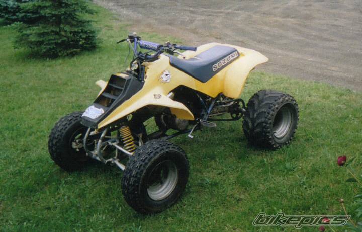 Photo 250690