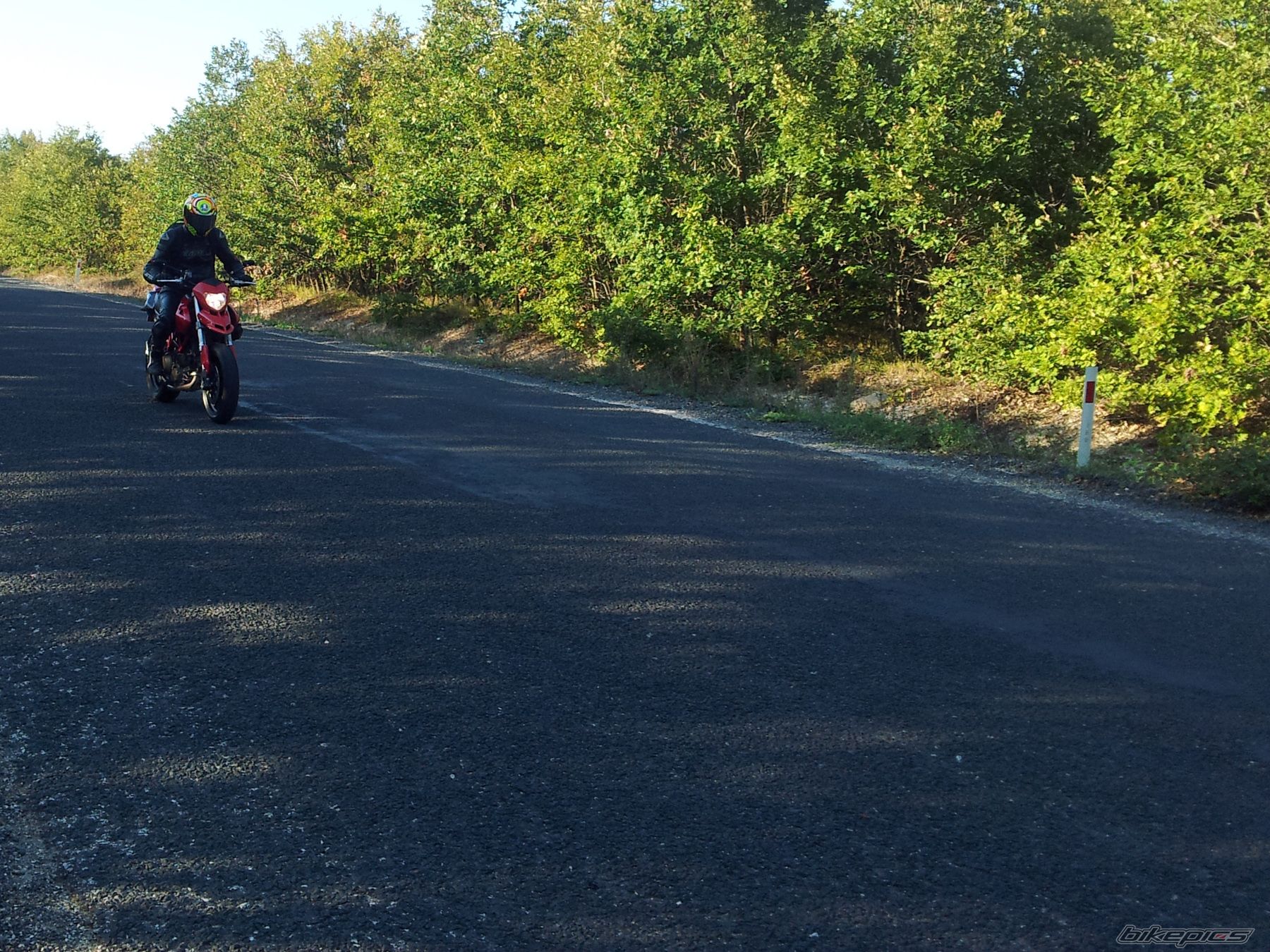 Photo 2506912