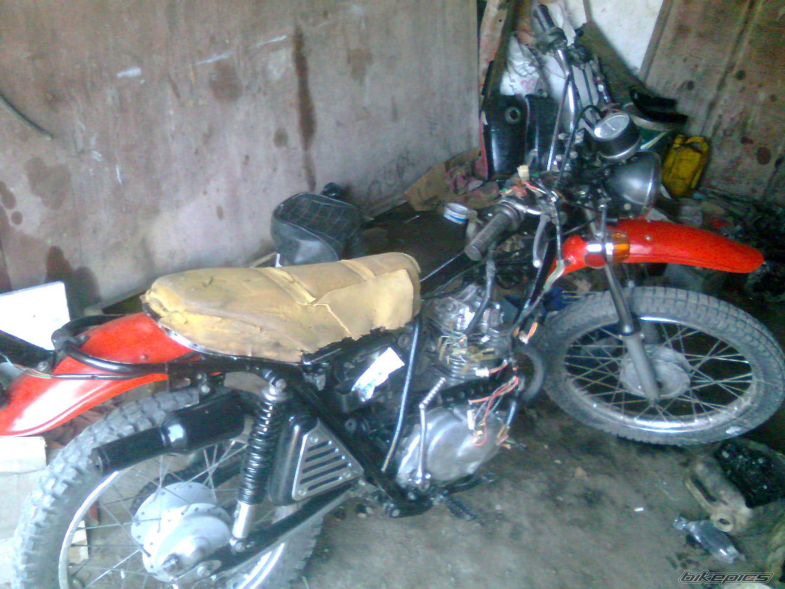 Photo 2507088