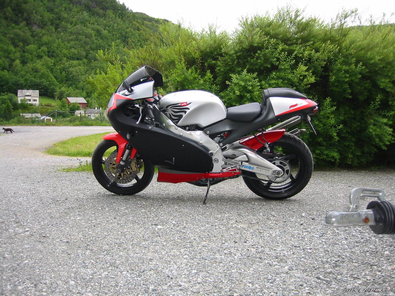 Photo 250712