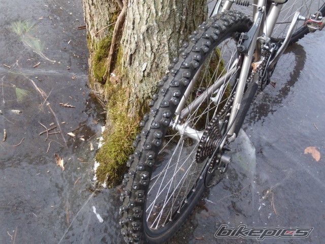 Photo 2507185