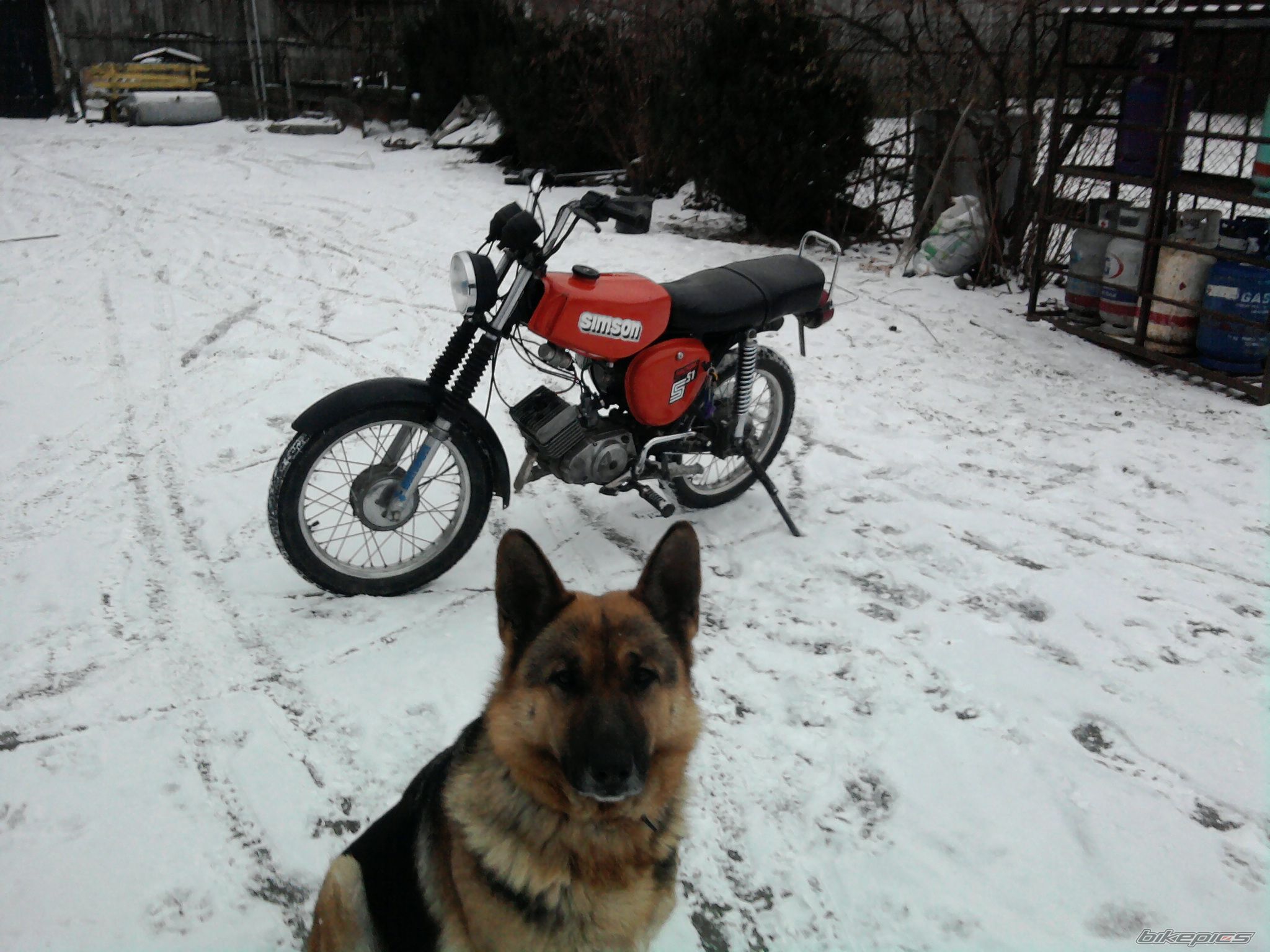 Photo 2507310