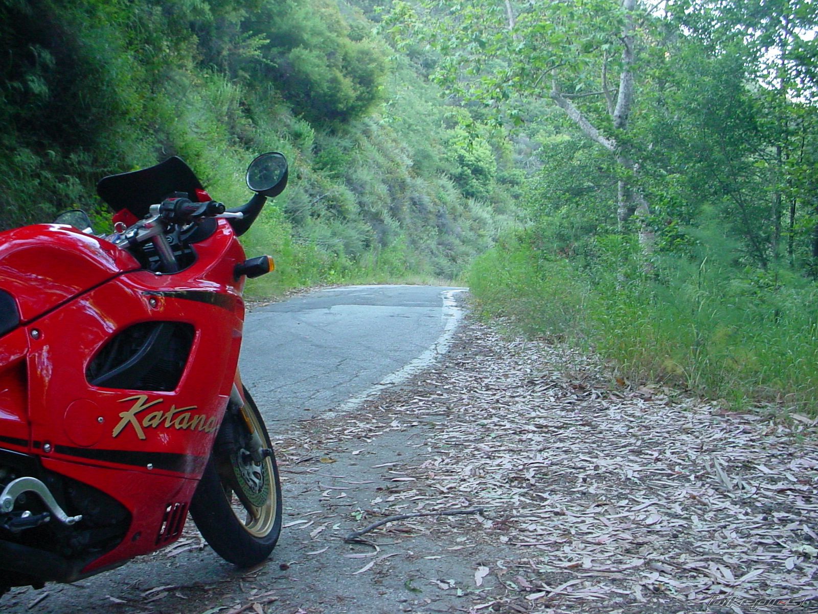 Bike Photo 2507332