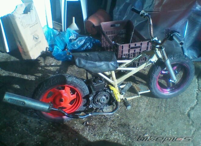 Photo 2507333