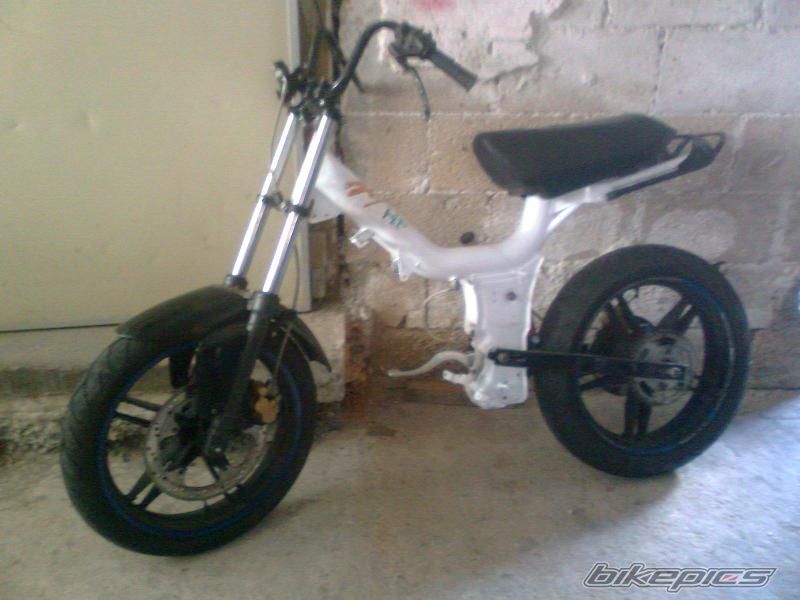 Photo 2507447