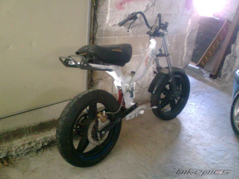 Photo 2507452
