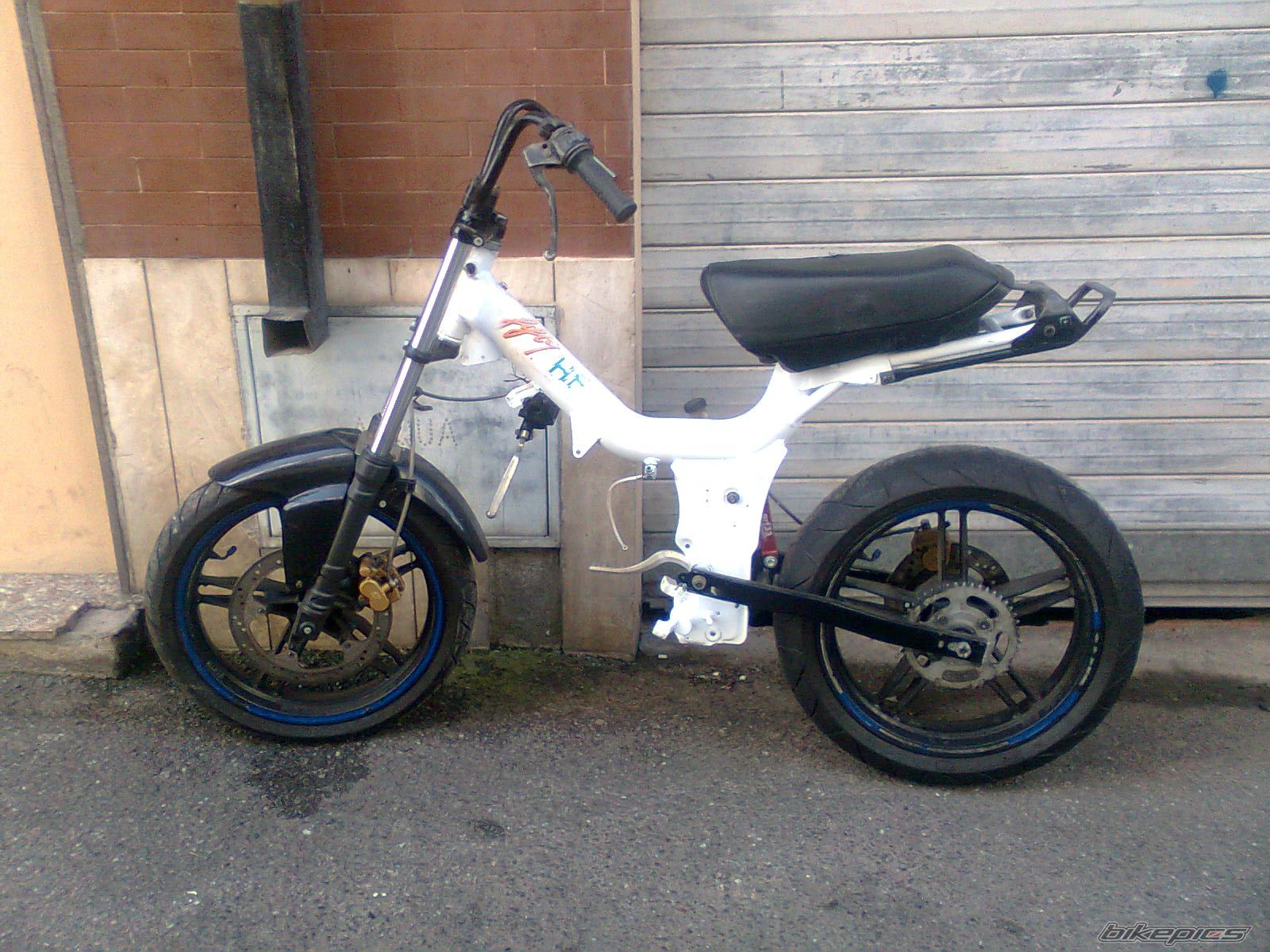 Photo 2507455