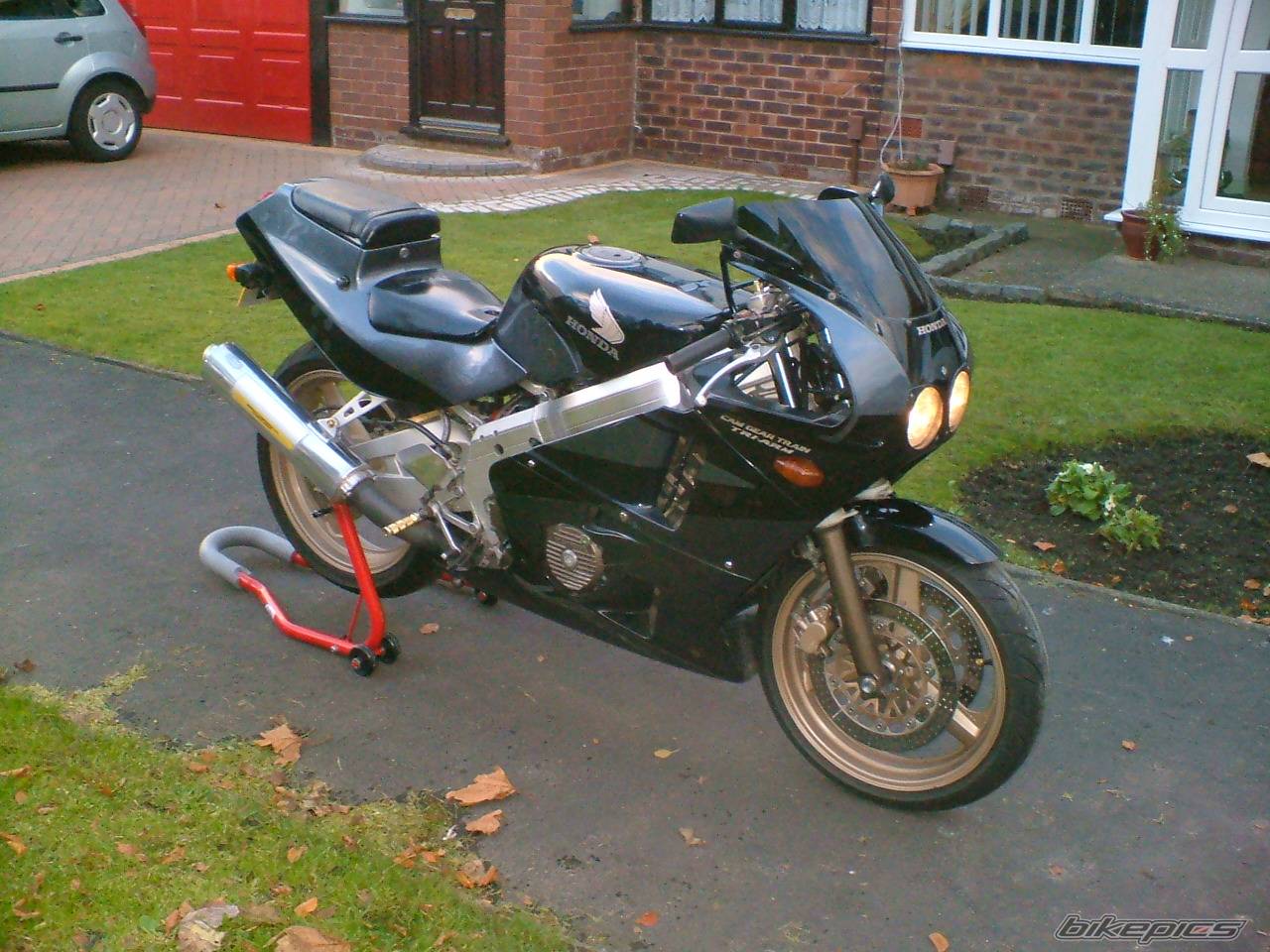 Photo 250751