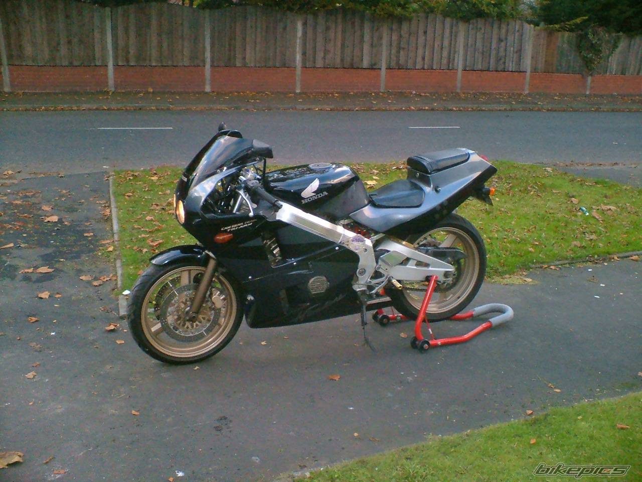 Photo 250752