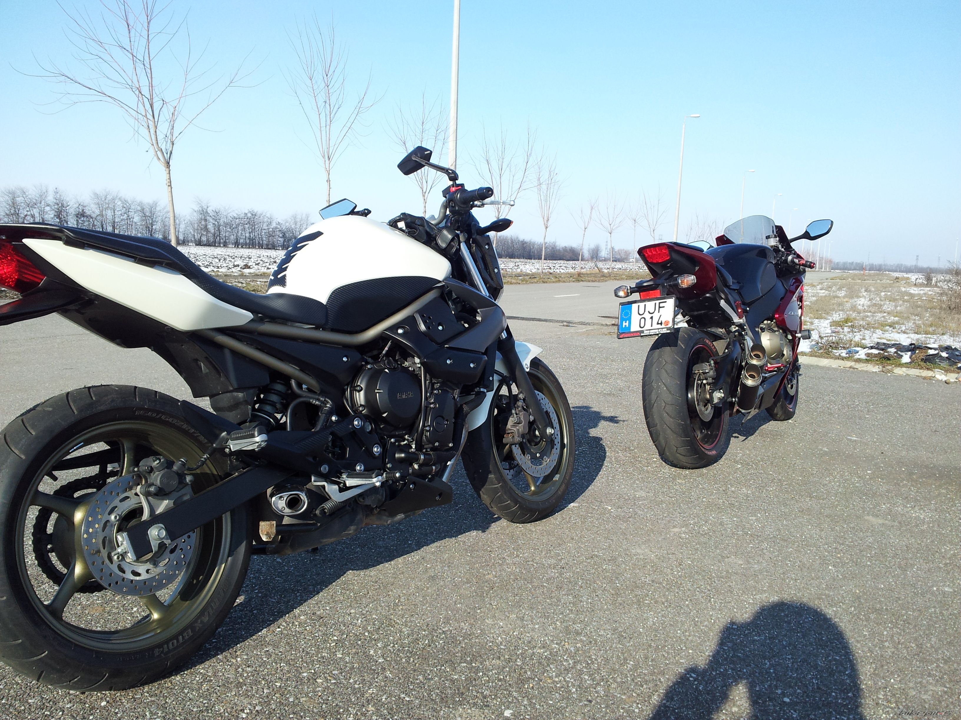 Photo 2507645