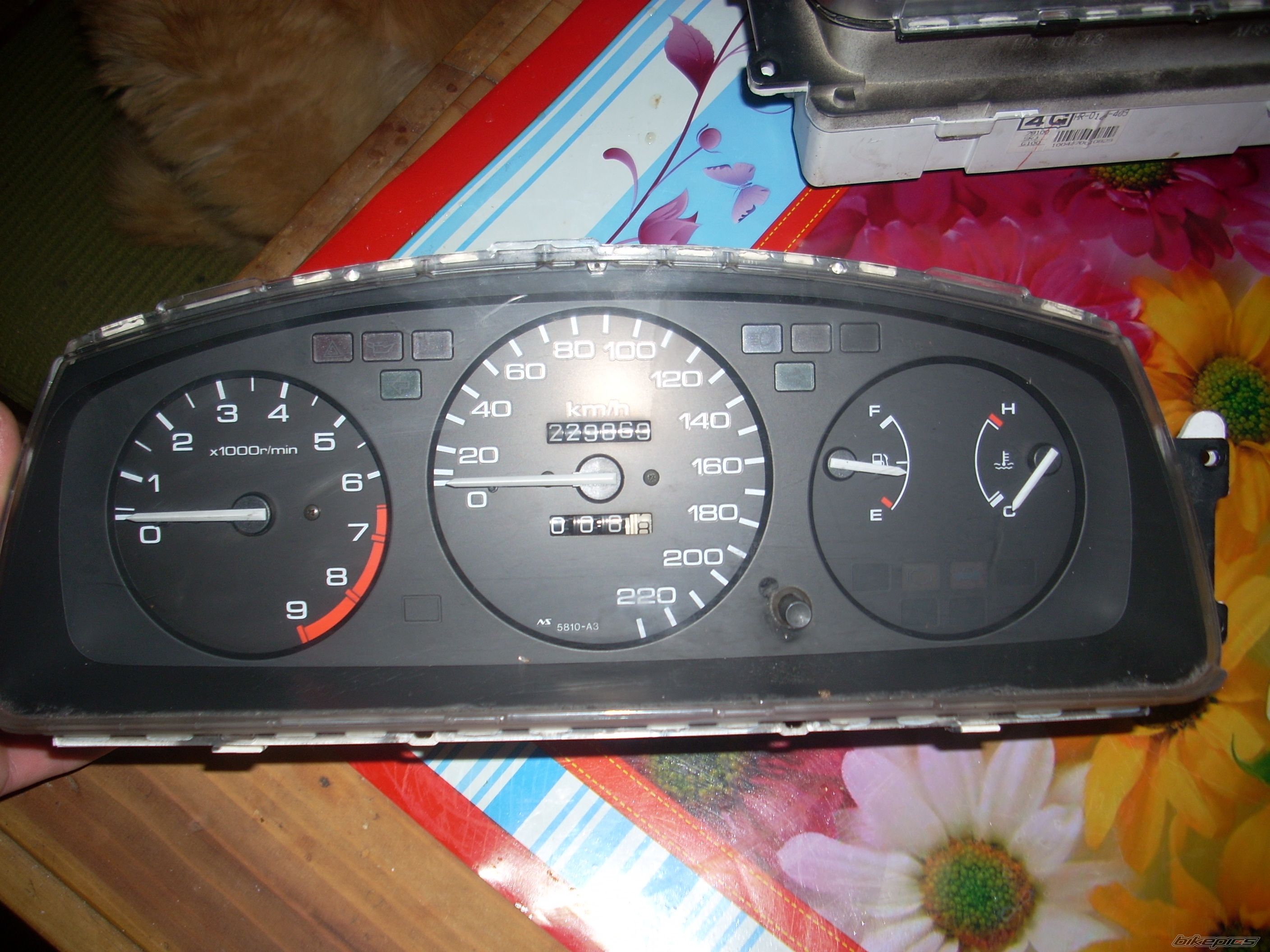 Photo 2507741