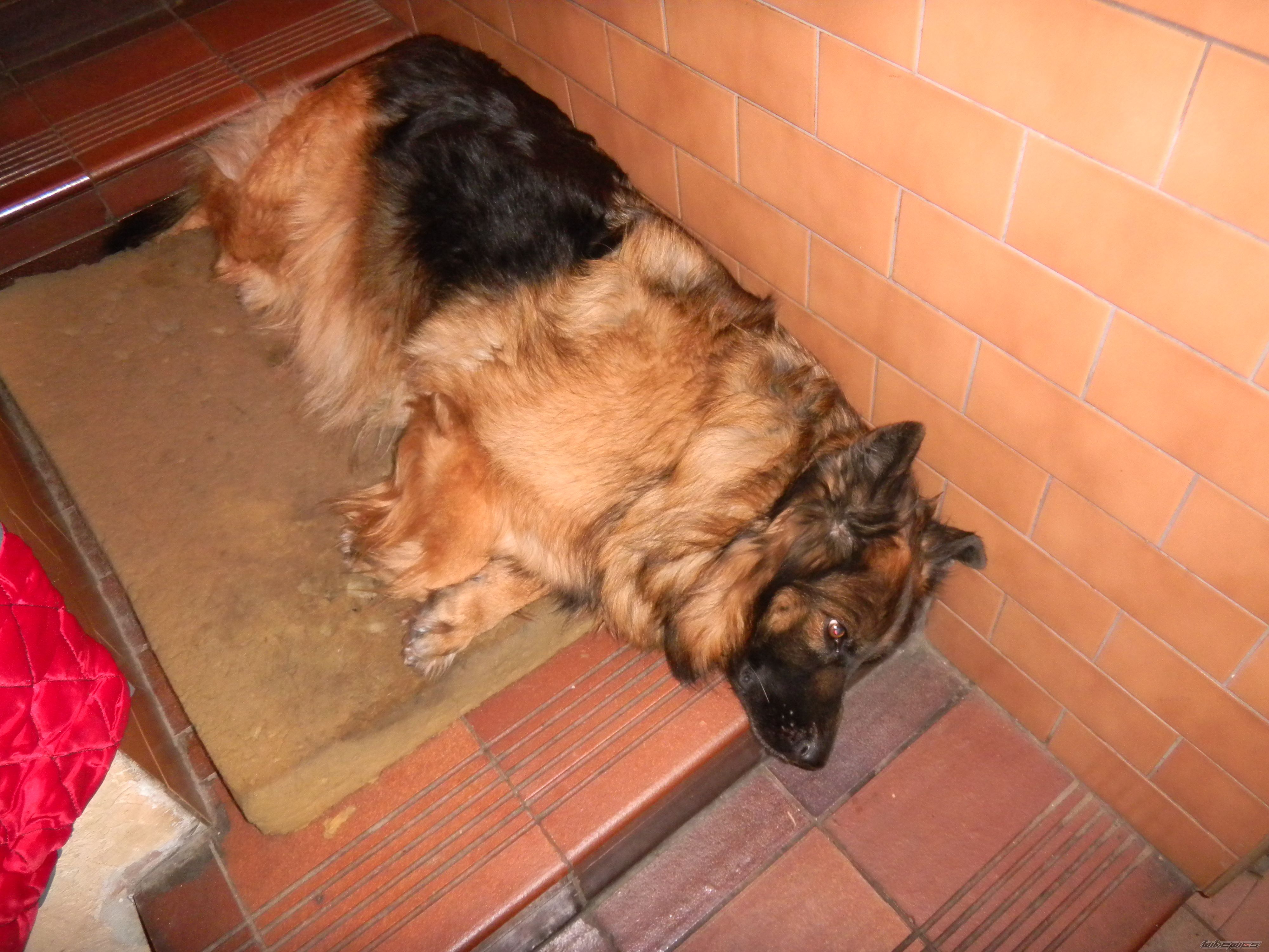 Photo 2507838