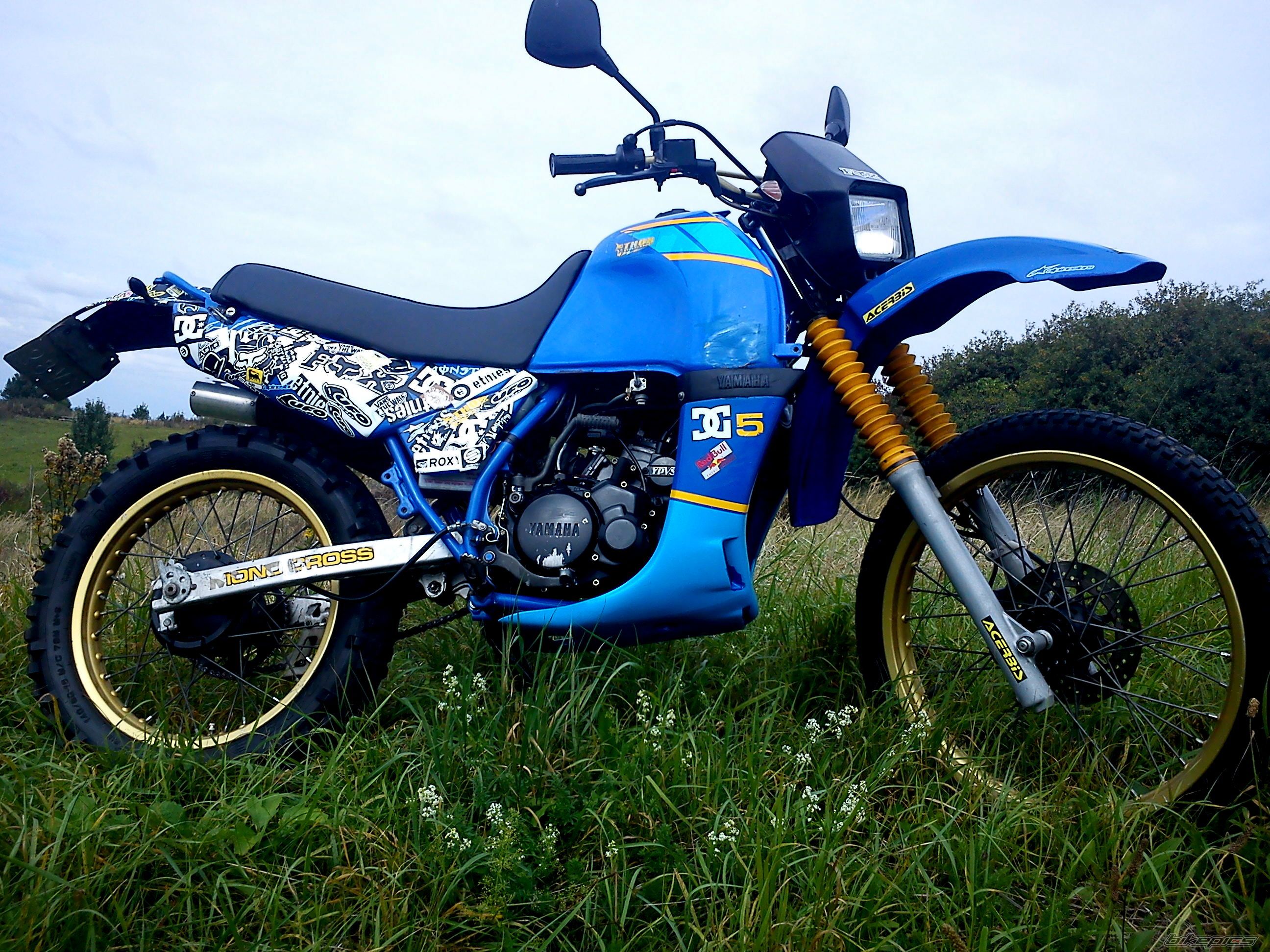 Photo 2507911
