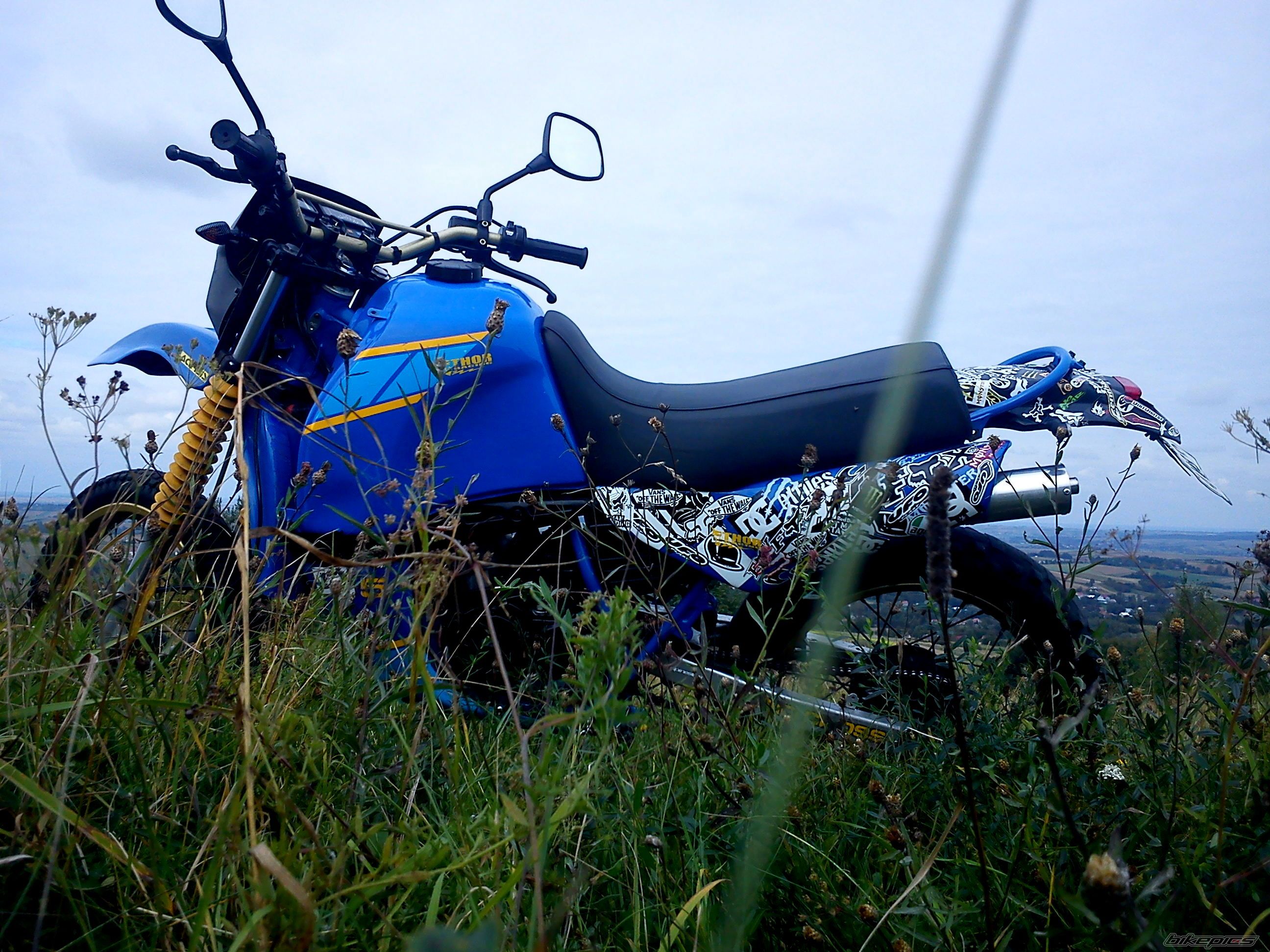 Photo 2507913