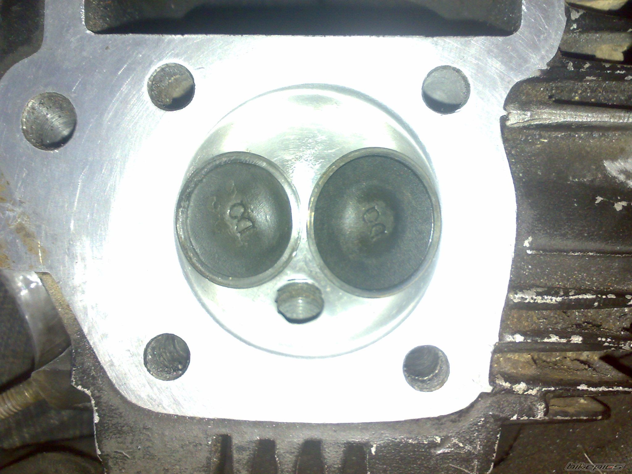 Photo 2508259